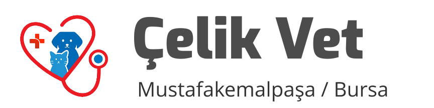 Çelik Veteriner Kliniği
